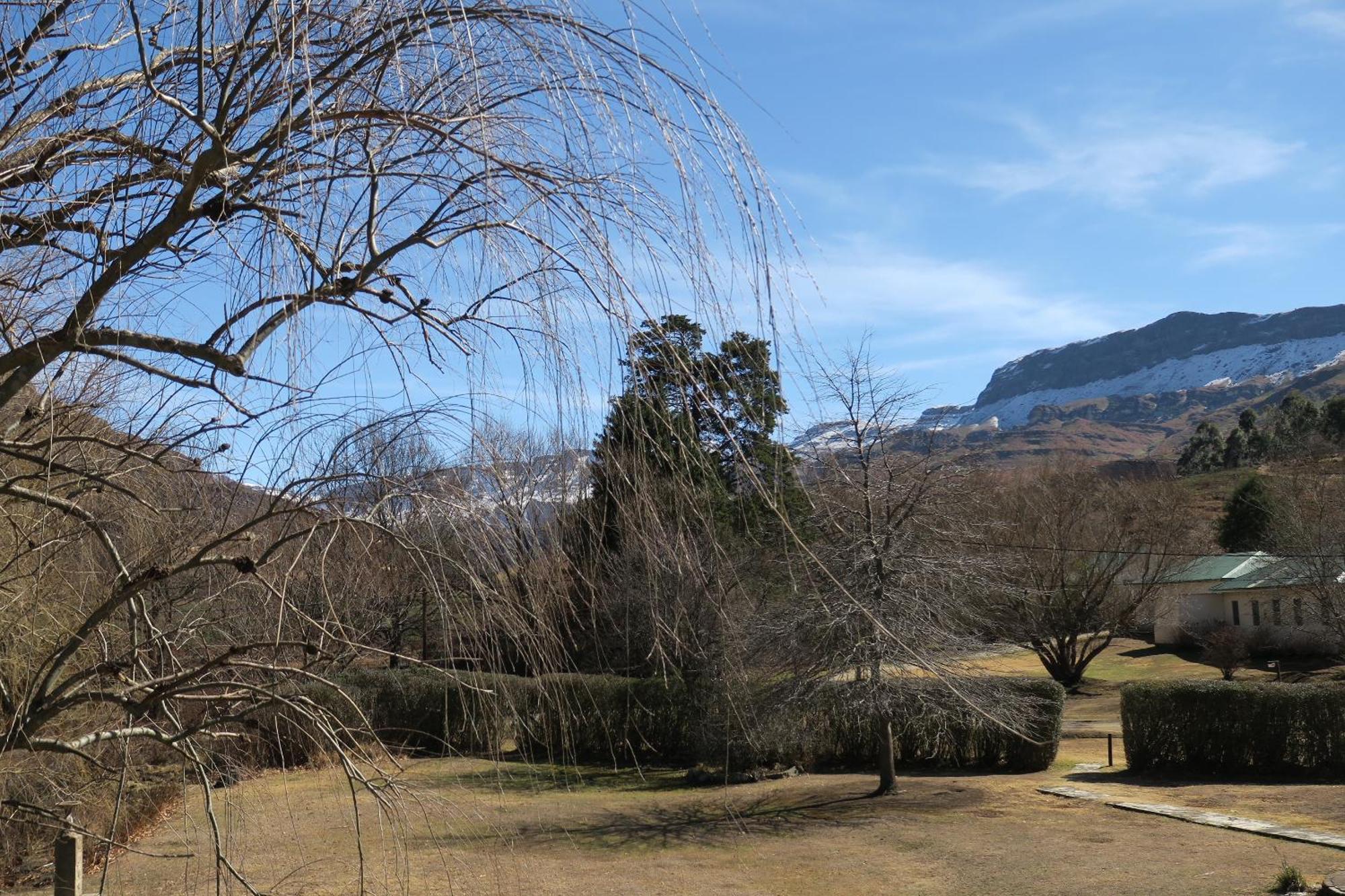 Mkomazana Mountain Cottages ヒメヴィル エクステリア 写真