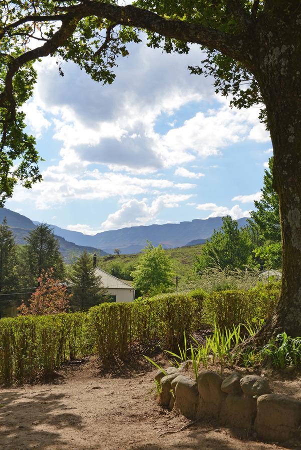 Mkomazana Mountain Cottages ヒメヴィル エクステリア 写真