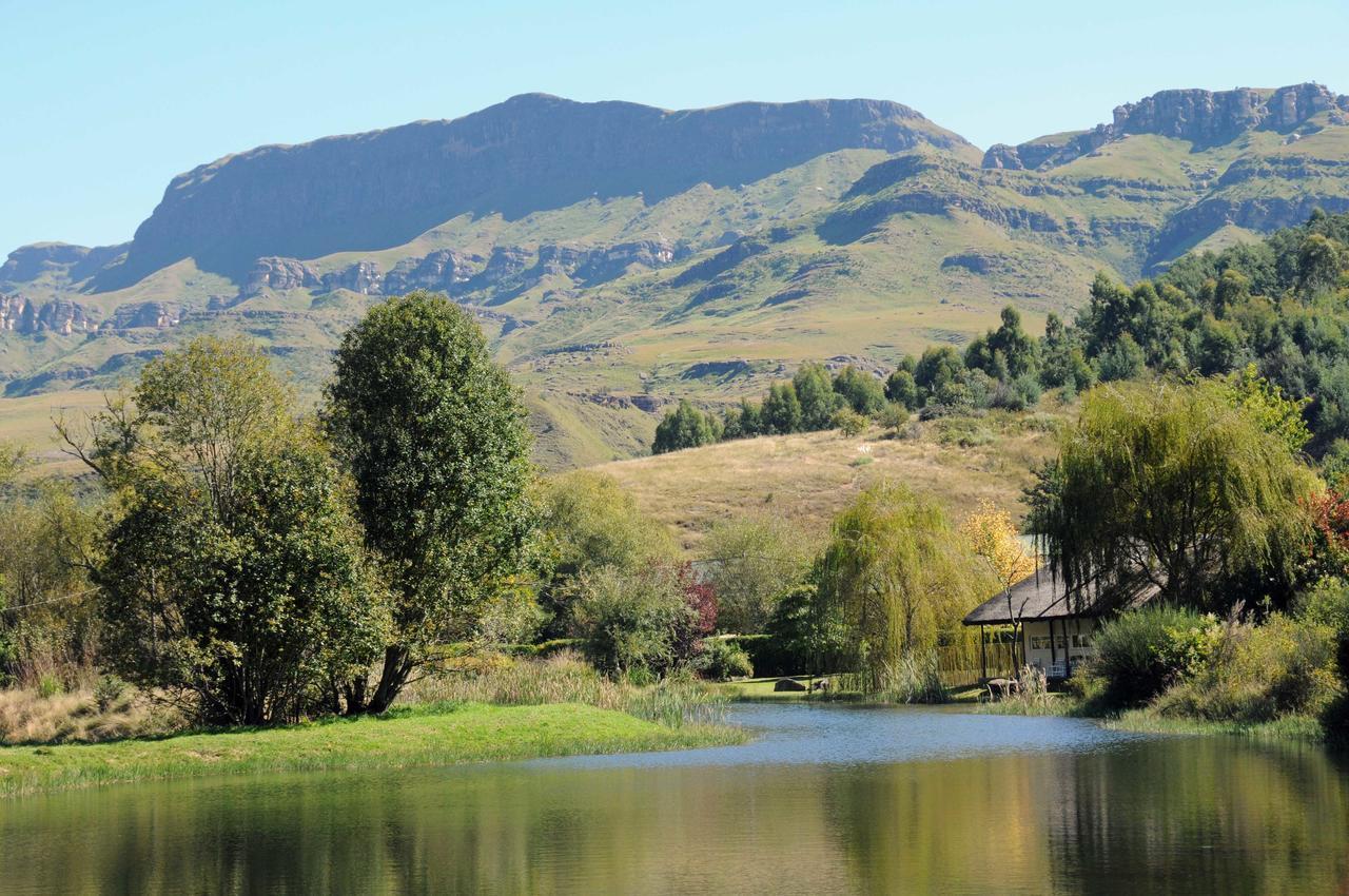 Mkomazana Mountain Cottages ヒメヴィル エクステリア 写真